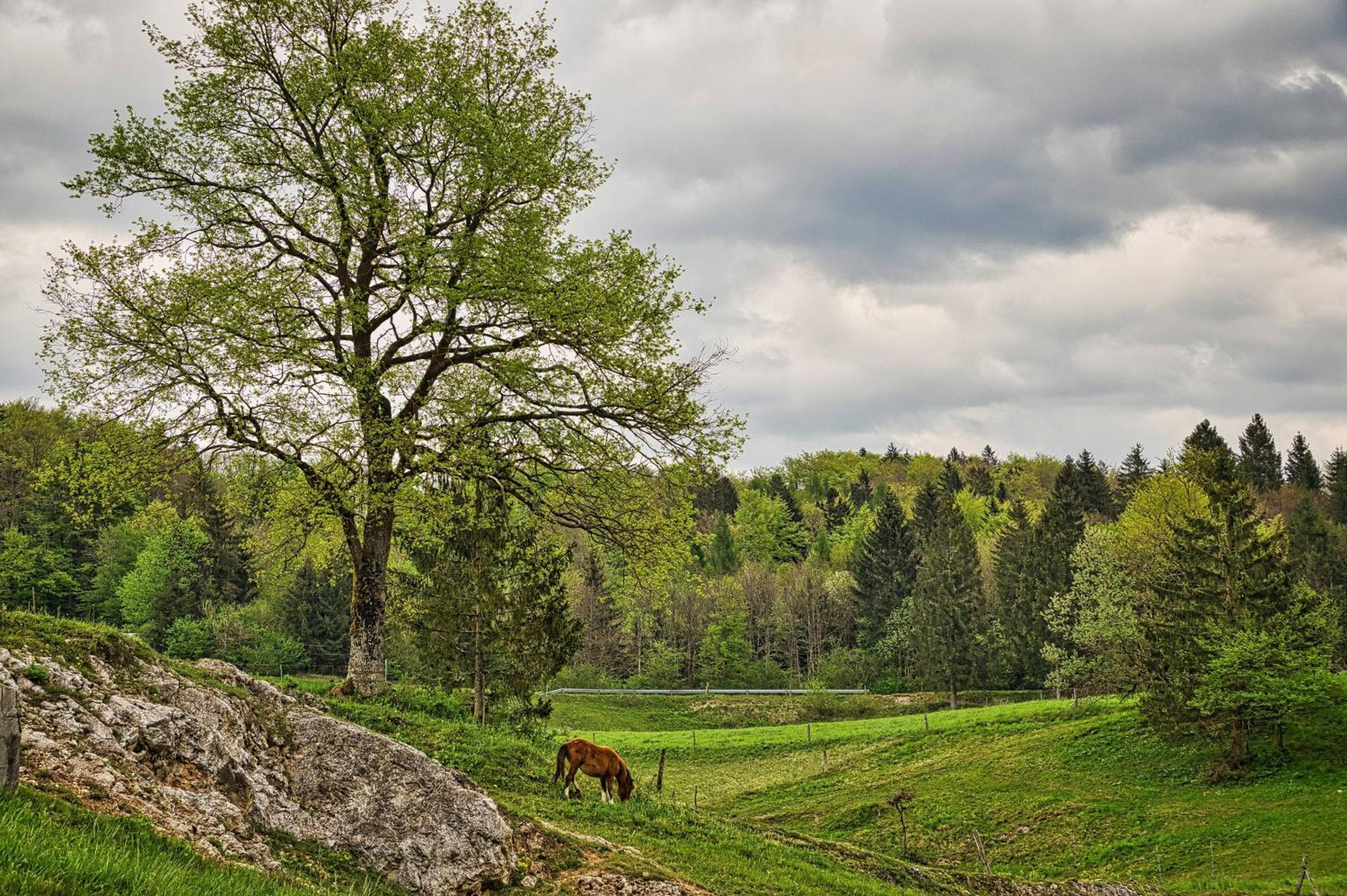 Hotel Cowboy'S Land Visnja Gora Exteriér fotografie
