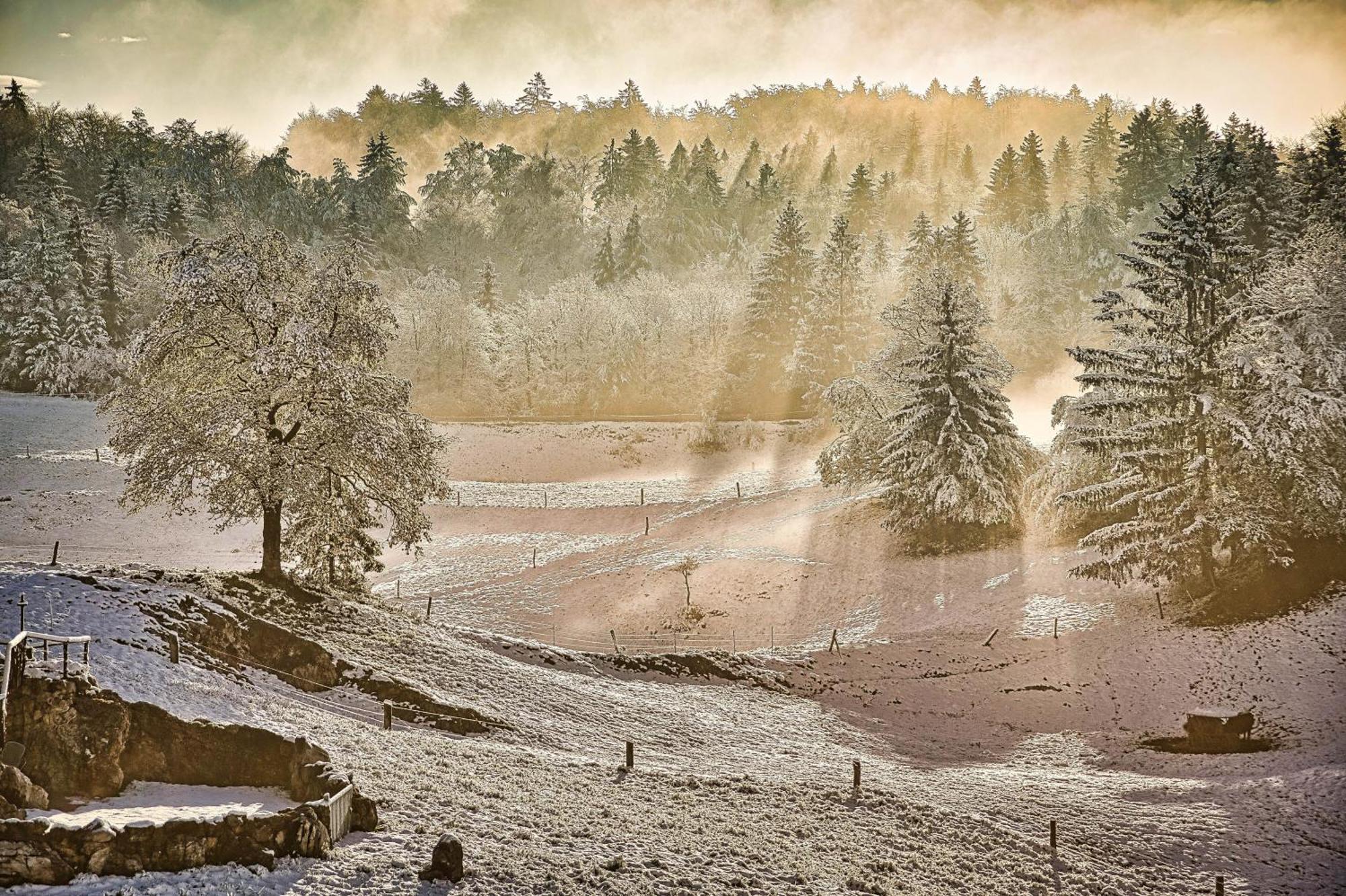 Hotel Cowboy'S Land Visnja Gora Exteriér fotografie