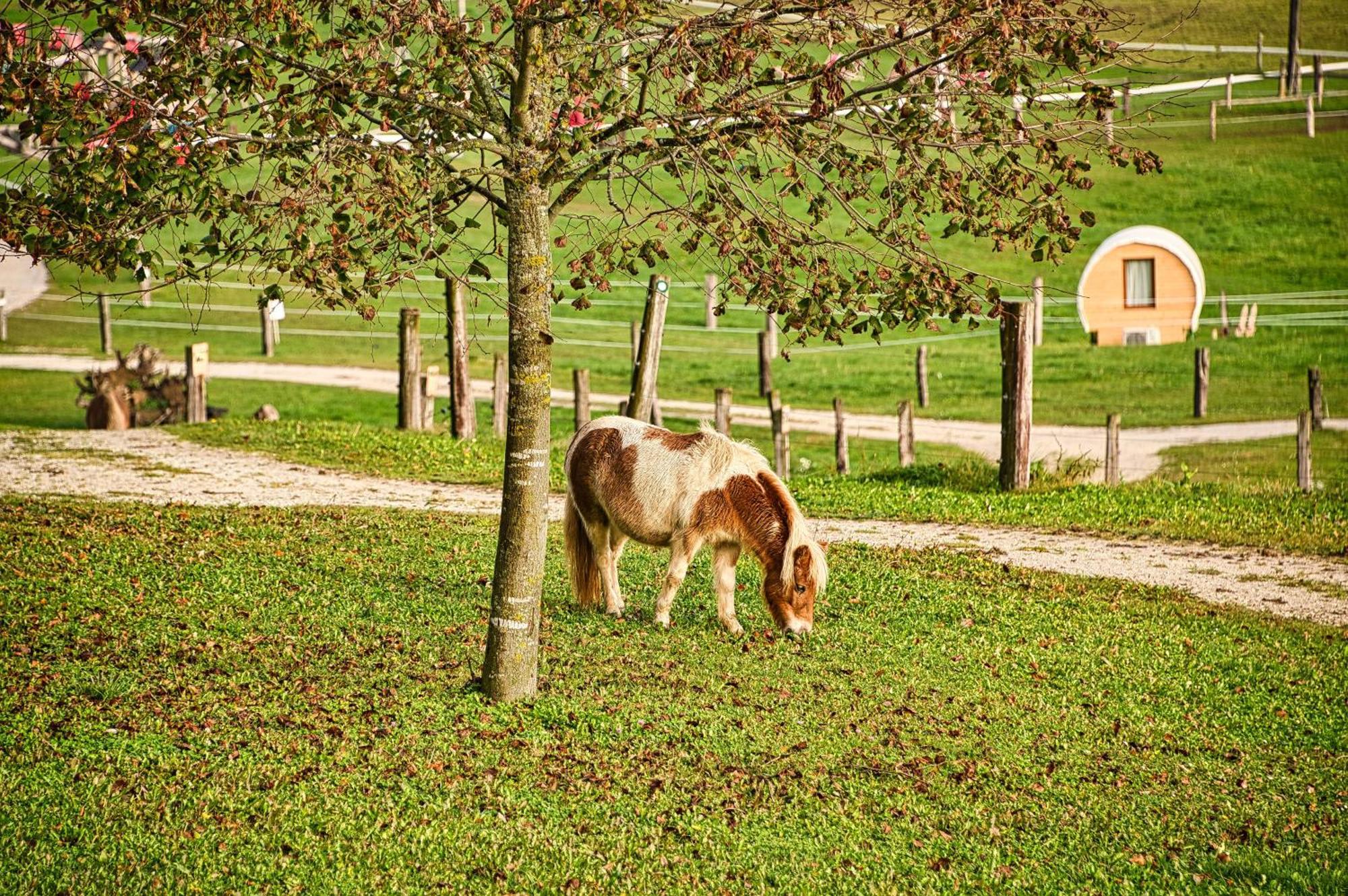 Hotel Cowboy'S Land Visnja Gora Exteriér fotografie