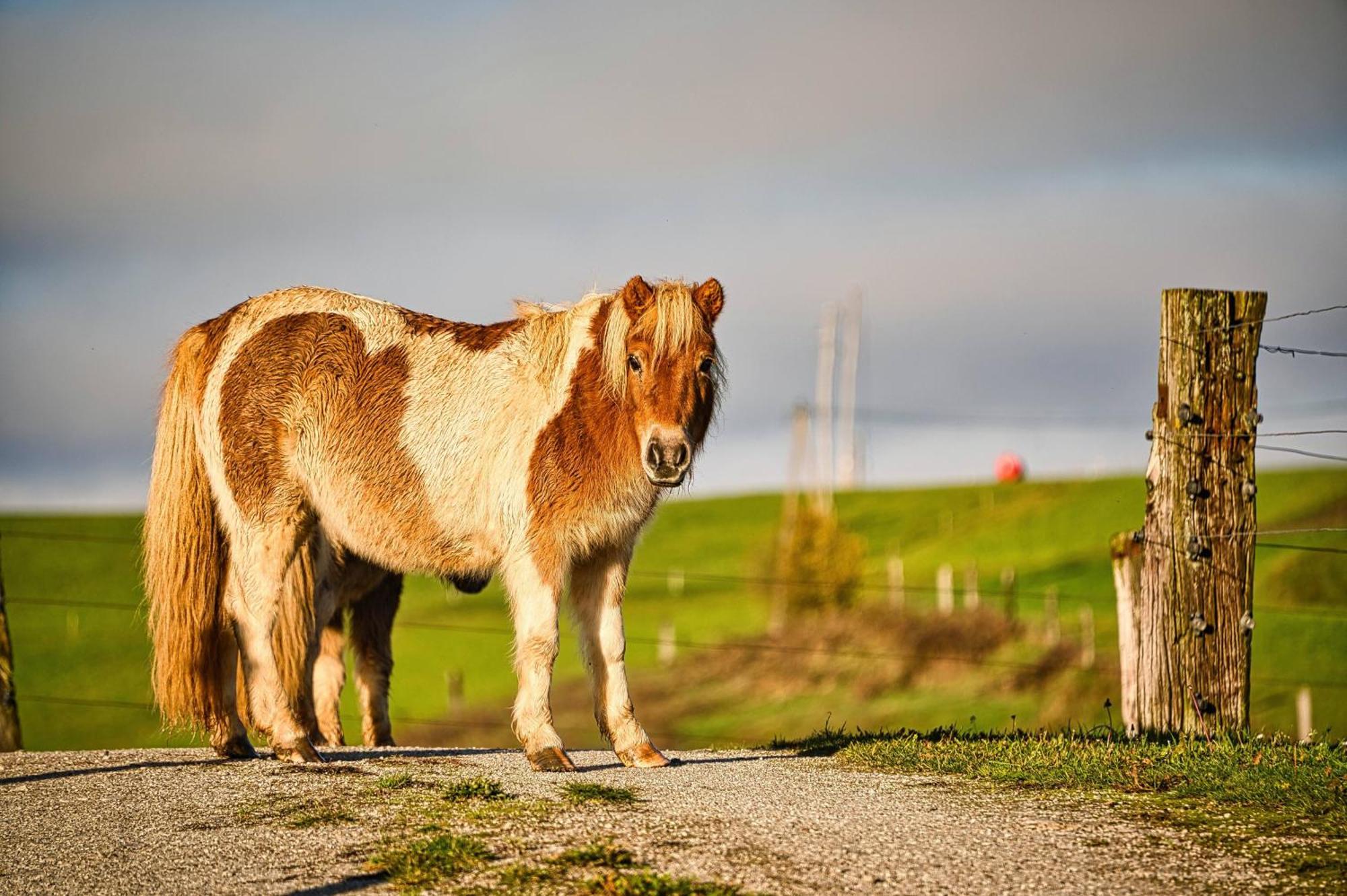 Hotel Cowboy'S Land Visnja Gora Exteriér fotografie